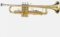 Sheery SMT-033 Standard Edition Gold Trumpet
