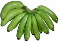 Organic green cavendish banana