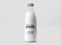 White Fresh Liquid donkey milk