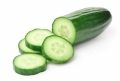 Round Dark Green fresh cucumber