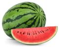 Organic Round Green fresh watermelon