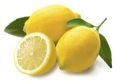 Organic Round fresh yellow lemon