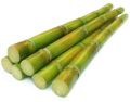 Organic Brown Green natural sugarcane