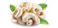 w210 cashew nut