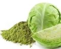 Green Cabbage Powder