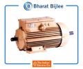 Bharat Bijlee Crane Duty Slipring Motor