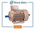 Bharat Bijlee Crane Duty Squirrel Cage Motor