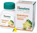 Himalaya Gokshura Mens Wellness Tablets