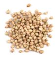 Buckwheat Millet