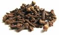 Natural dried cloves
