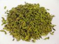Green fennel seeds