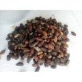 Brown neem seeds