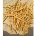 Dry Shatavari Roots