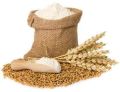 Organic White wheat atta