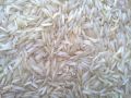 pusa 1121 basmati rice