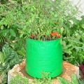 Round Plastic Green vegetable grow bags