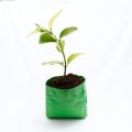 Green Round Grow Bags