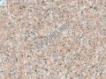 Indian Chima Granite Slabs
