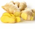 Fresh Whole Ginger