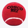 Rubber Red Cricket Tennis Ball