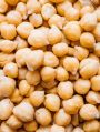 White Chickpea Seeds