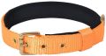Pin Buckle Dog Collar Neck Belt (Neon Orange)