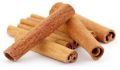 Common Trivedi cinnamon stick