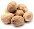 Common Trivedi Nutmeg Seeds