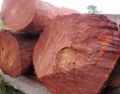 Grade A Class 3 Red Sandalwood Logs