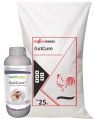 gutcure poultry feed additives