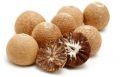 Organic Solid betel nut