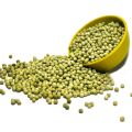 Organic green peas beans