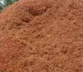 coco peat powder