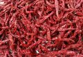 Dried Red Byadgi Chilli