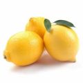 Organic Round Yellow fresh lemon