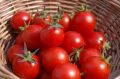 Organic Red fresh tomato