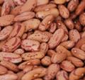 Kidney Beans