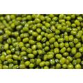 Organic Green mung beans