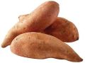 Brown Organic fresh sweet potato