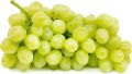 Organic fresh green grapes