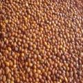 Common Red Whole Toor Dal