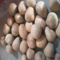 Organic Brown Copra Coconut