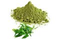 Green curry leaves powder
