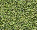 Green Solid Blended fennel seeds