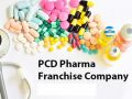 Tablet Capsule Syrup pcd pharma franchise