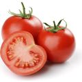 fresh tomato