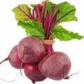 Organic Dark-Red fresh beetroot