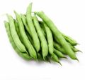Organic Fresh Green Bean