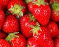 Organic Red fresh strawberry