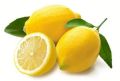 Common fresh lemon